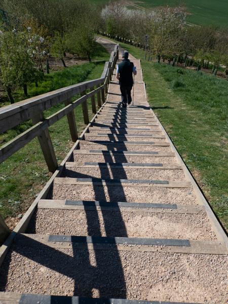 man walking down wood and gravel steps outside with a strong shadow cast from the handrail on the left
